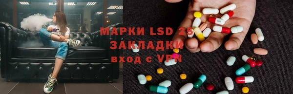 амф Алзамай