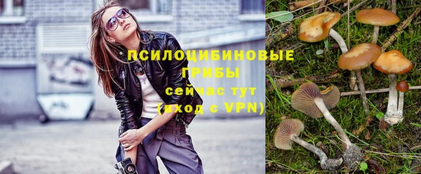 ПСИЛОЦИБИНОВЫЕ ГРИБЫ Алексин