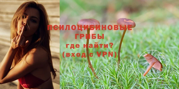 амф Алзамай