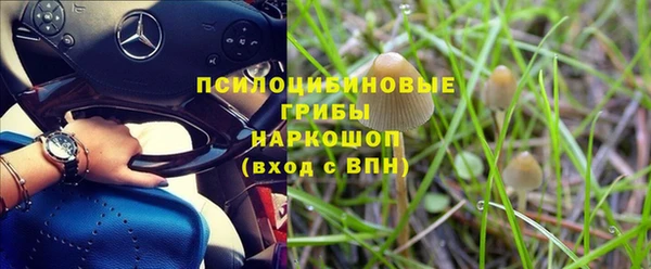 ПСИЛОЦИБИНОВЫЕ ГРИБЫ Алексин