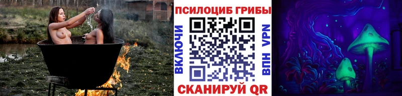 KRAKEN зеркало  Бирюч  Псилоцибиновые грибы мухоморы 